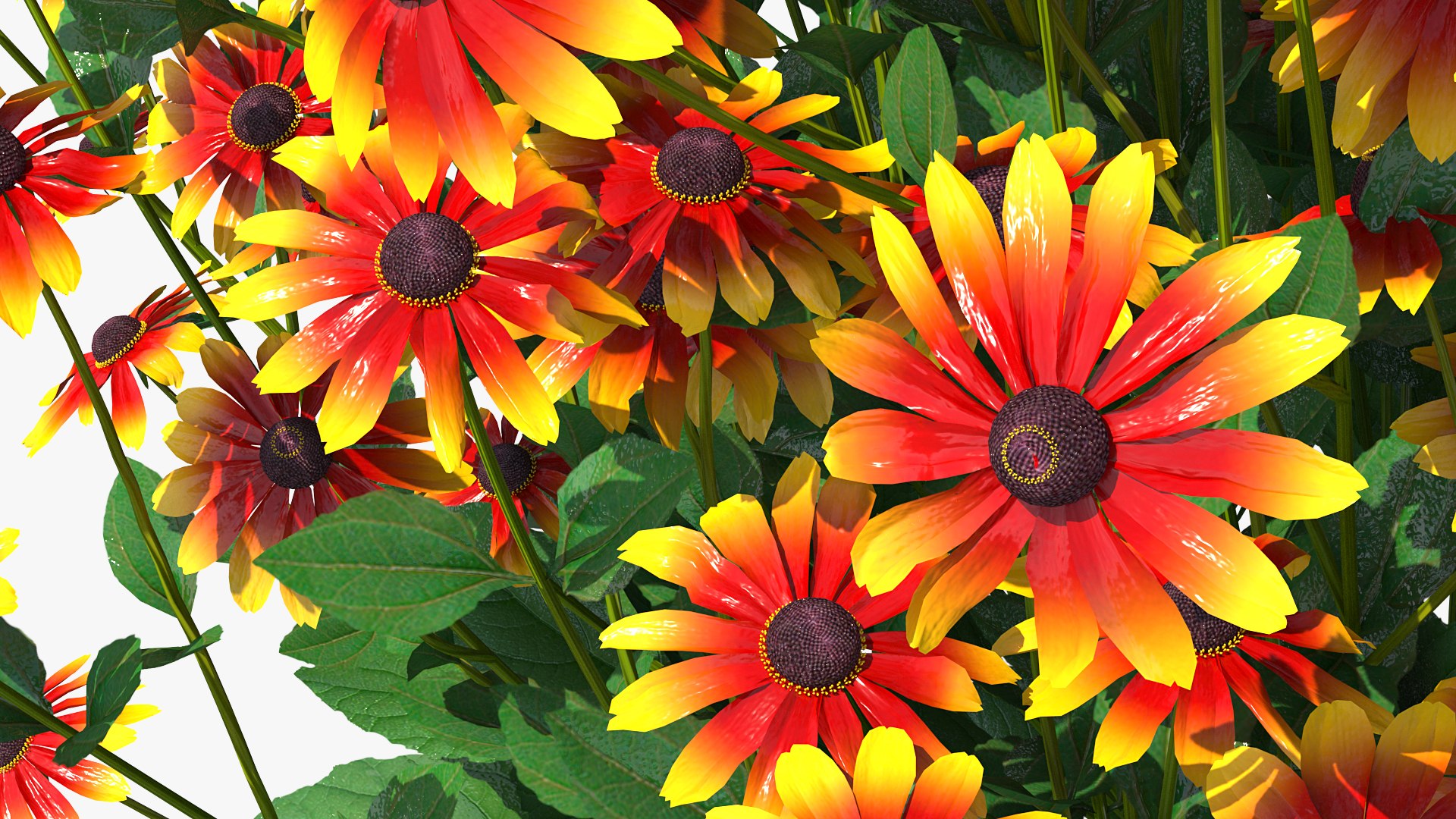 3D model Flowering Plants Collection 10 https://p.turbosquid.com/ts-thumb/aU/LdlOur/40/floweringplantscollection10mb3dmodel121/jpg/1663182012/1920x1080/fit_q87/1078621818f41792d7c591fa6f98e6af811d34bb/floweringplantscollection10mb3dmodel121.jpg
