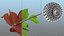 Flowering Plants Collection 10