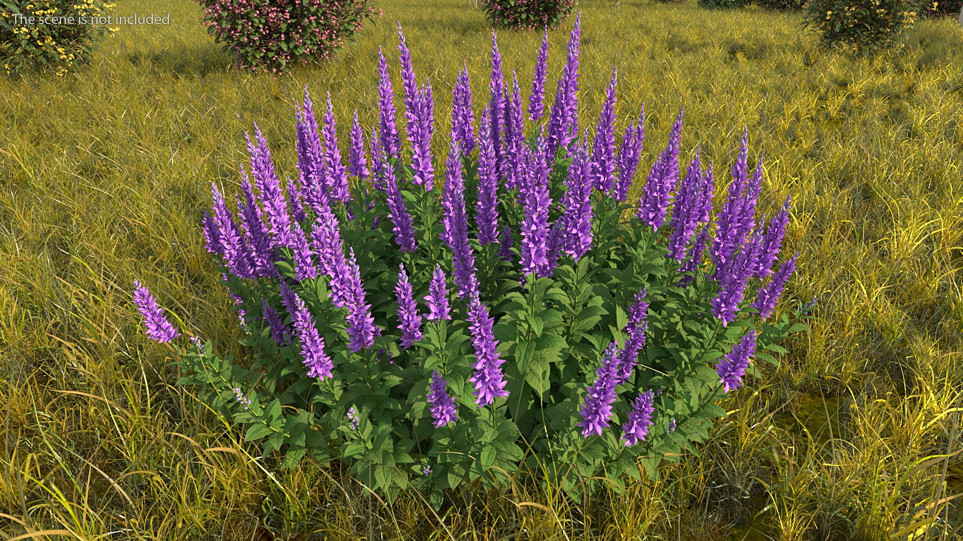 3D model Flowering Plants Collection 10 https://p.turbosquid.com/ts-thumb/aU/LdlOur/5z/floweringplantscollection10mb3dmodel029/jpg/1663181622/1920x1080/fit_q87/56214d0dc85217b7c921bdeae3bbab50c90527d7/floweringplantscollection10mb3dmodel029.jpg