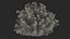 Flowering Plants Collection 10