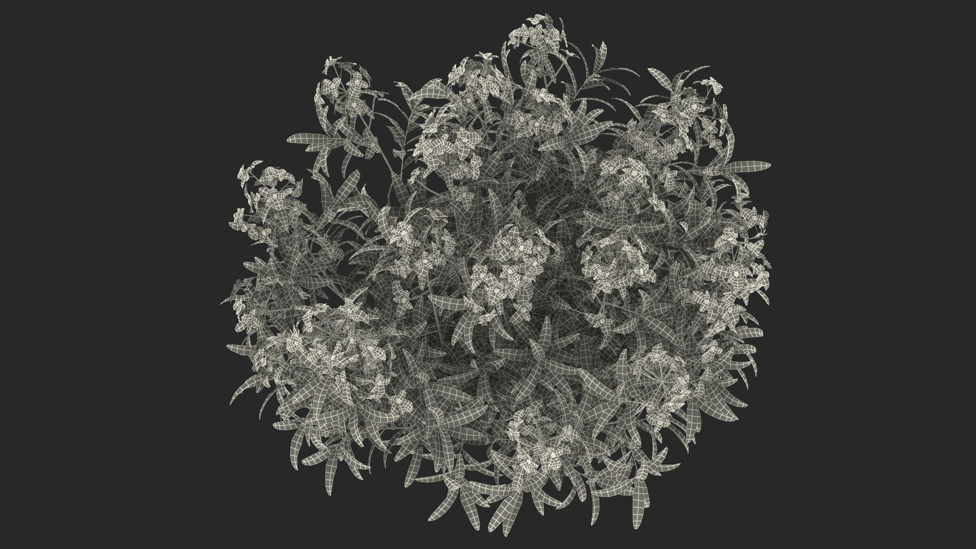 3D model Flowering Plants Collection 10 https://p.turbosquid.com/ts-thumb/aU/LdlOur/6j/floweringplantscollection10mb3dmodel140/jpg/1663182086/1920x1080/fit_q87/89ad0d9e4f3571425de9755086f8d3289864838b/floweringplantscollection10mb3dmodel140.jpg