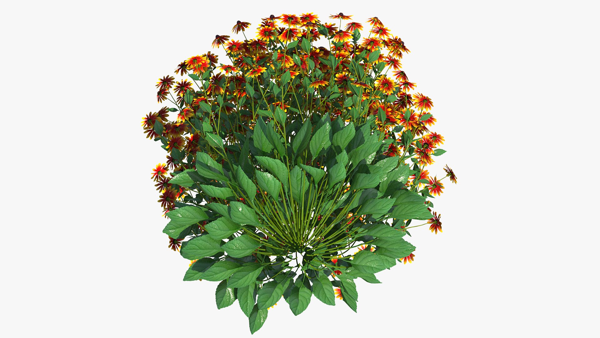 3D model Flowering Plants Collection 10 https://p.turbosquid.com/ts-thumb/aU/LdlOur/78/floweringplantscollection10mb3dmodel125/jpg/1663182029/1920x1080/fit_q87/6ff50f8902d420c796e1a96c12e48437a7fc418c/floweringplantscollection10mb3dmodel125.jpg