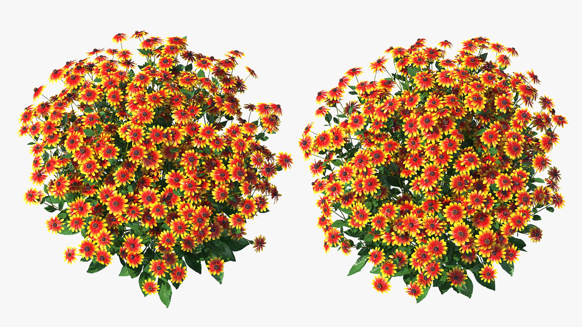 3D model Flowering Plants Collection 10 https://p.turbosquid.com/ts-thumb/aU/LdlOur/8m/floweringplantscollection10mb3dmodel116/jpg/1663181987/1920x1080/fit_q87/cfbc800979a971dc567388865cd5172e0b6c7205/floweringplantscollection10mb3dmodel116.jpg