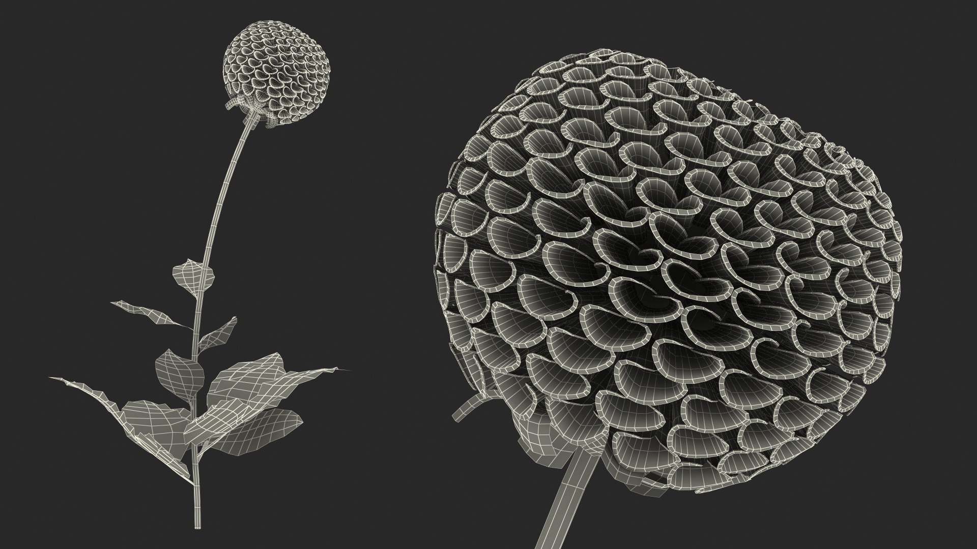 3D model Flowering Plants Collection 10 https://p.turbosquid.com/ts-thumb/aU/LdlOur/9K/floweringplantscollection10mb3dmodel145/jpg/1663182106/1920x1080/fit_q87/5e808207970c9fa24d8ce42b00c64a97be9dbcf8/floweringplantscollection10mb3dmodel145.jpg