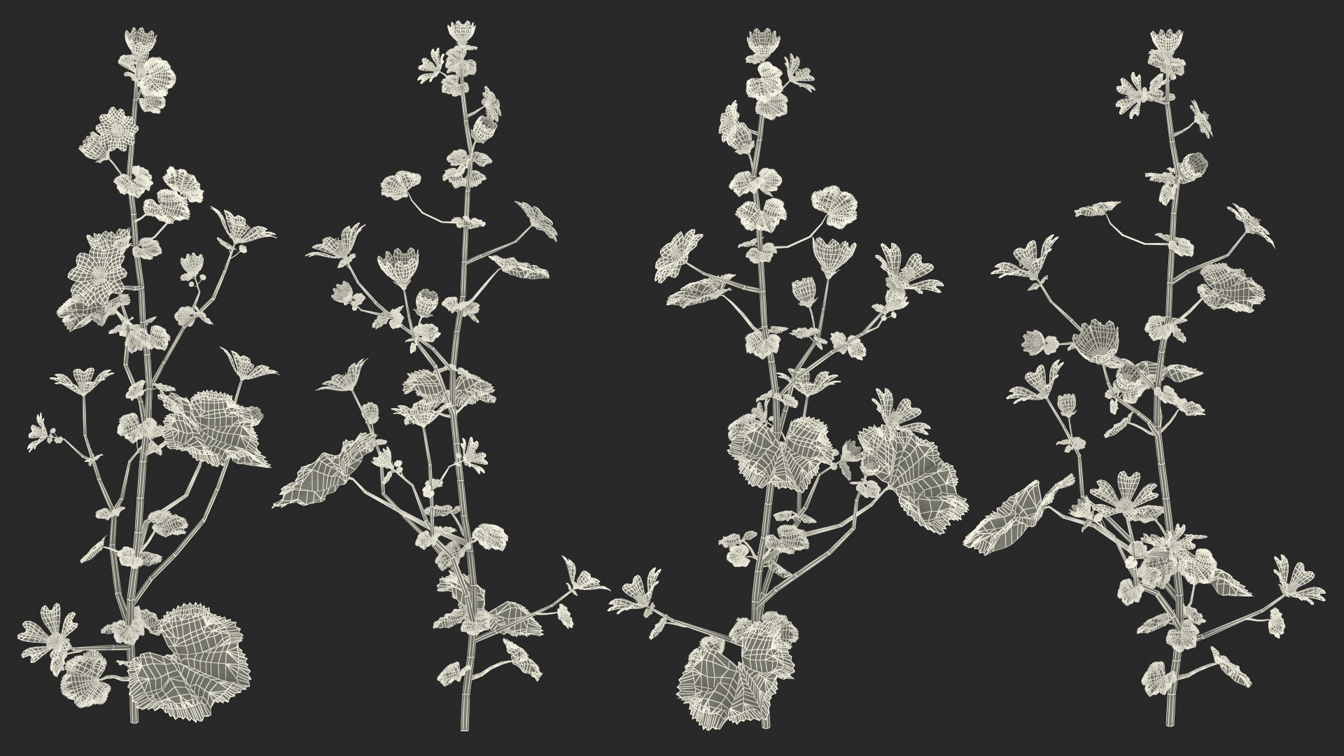 3D model Flowering Plants Collection 10 https://p.turbosquid.com/ts-thumb/aU/LdlOur/9W/floweringplantscollection10mb3dmodel147/jpg/1663182113/1920x1080/fit_q87/12d2fd2332b7c2be7d7ac8ce2b0681b2fcb35598/floweringplantscollection10mb3dmodel147.jpg