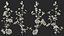 Flowering Plants Collection 10