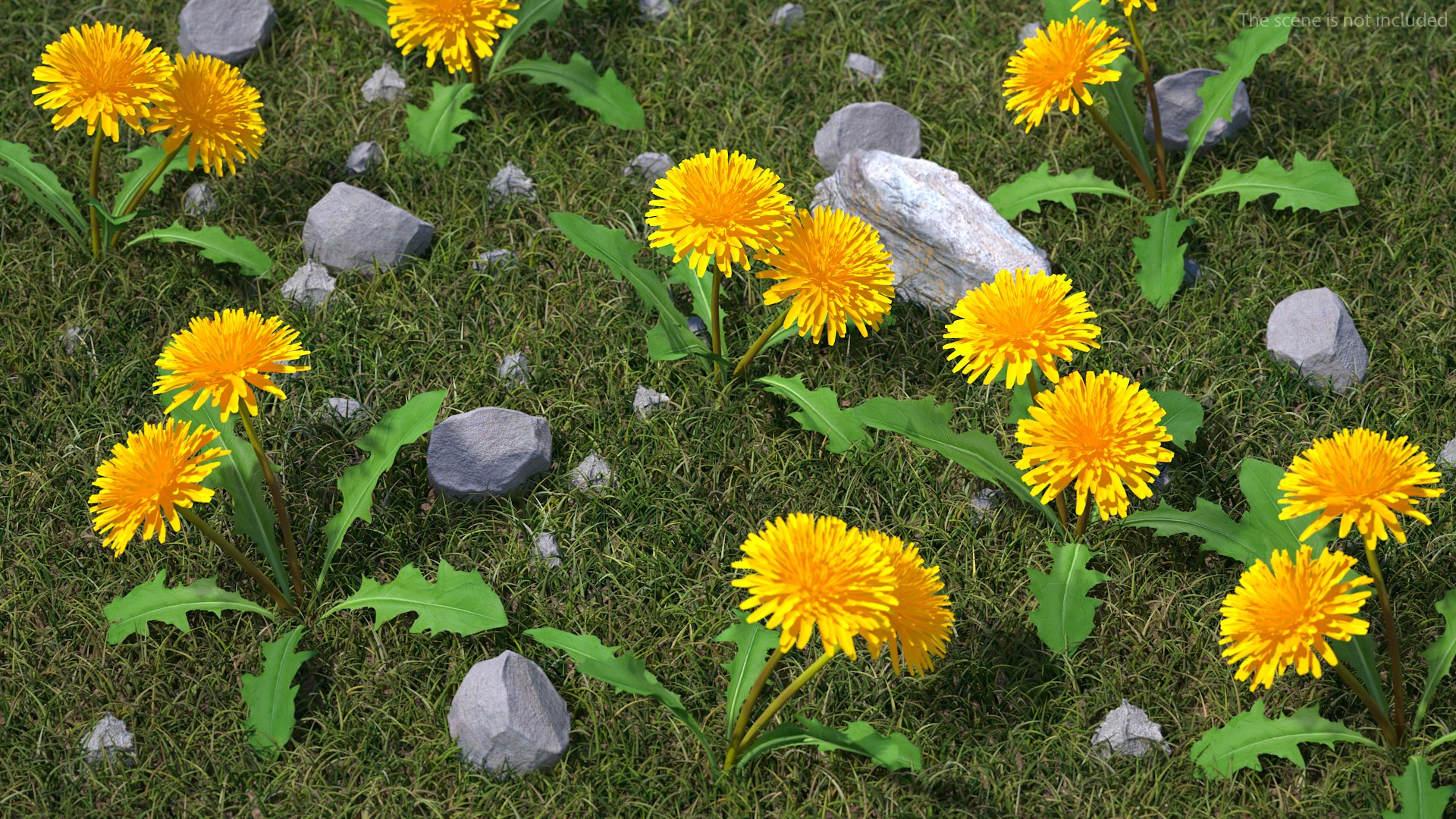 3D model Flowering Plants Collection 10 https://p.turbosquid.com/ts-thumb/aU/LdlOur/BP/floweringplantscollection10mb3dmodel128/jpg/1663182041/1920x1080/fit_q87/a54cc115045fe12ec976226a4a7929ccc5b3a06d/floweringplantscollection10mb3dmodel128.jpg