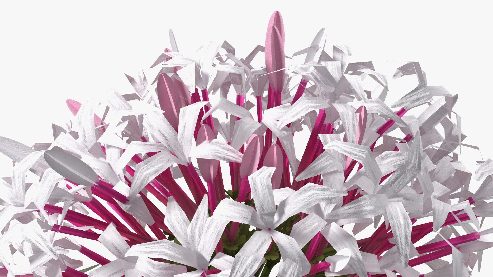 3D model Flowering Plants Collection 10 https://p.turbosquid.com/ts-thumb/aU/LdlOur/CT/floweringplantscollection10mb3dmodel011/jpg/1663181552/1920x1080/fit_q87/91a2266f561d8d962c5800e93544da645f9893ba/floweringplantscollection10mb3dmodel011.jpg