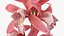 Flowering Plants Collection 10