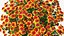 Flowering Plants Collection 10