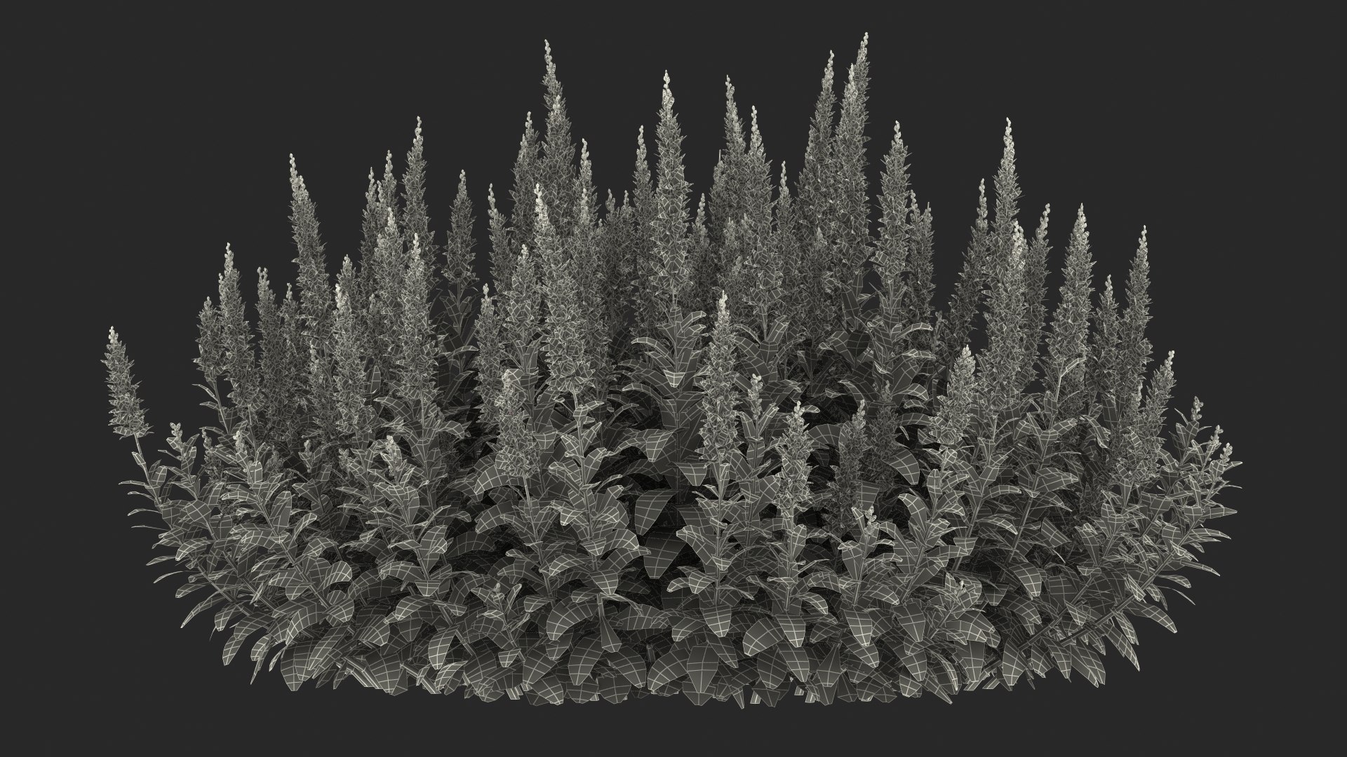 3D model Flowering Plants Collection 10 https://p.turbosquid.com/ts-thumb/aU/LdlOur/Ie/floweringplantscollection10mb3dmodel141/jpg/1663182090/1920x1080/fit_q87/4ceb89aebcbbb42df888055a9698b5948bc8b2b2/floweringplantscollection10mb3dmodel141.jpg