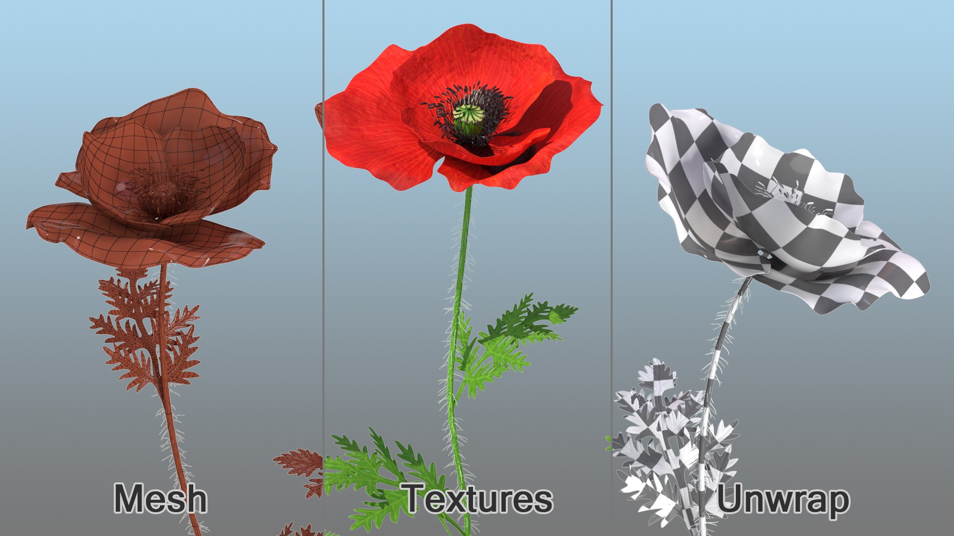 3D model Flowering Plants Collection 10 https://p.turbosquid.com/ts-thumb/aU/LdlOur/Iq/floweringplantscollection10mb3dmodel109/jpg/1663181959/1920x1080/fit_q87/5ae660d5e915e08390d895e33582e241af5adb6d/floweringplantscollection10mb3dmodel109.jpg