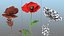 Flowering Plants Collection 10