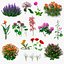 Flowering Plants Collection 10