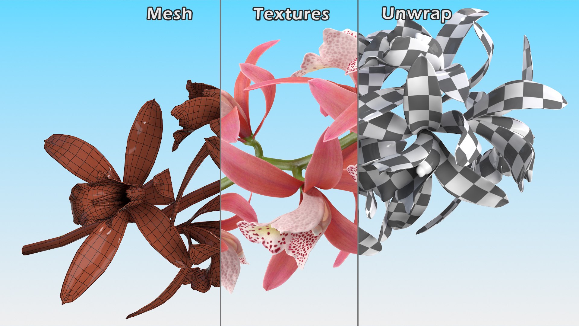 3D model Flowering Plants Collection 10 https://p.turbosquid.com/ts-thumb/aU/LdlOur/N2/floweringplantscollection10mb3dmodel062/jpg/1663181764/1920x1080/fit_q87/1e7ec20e0f8d6d90dbe0b9868b648c3cd4d248ff/floweringplantscollection10mb3dmodel062.jpg