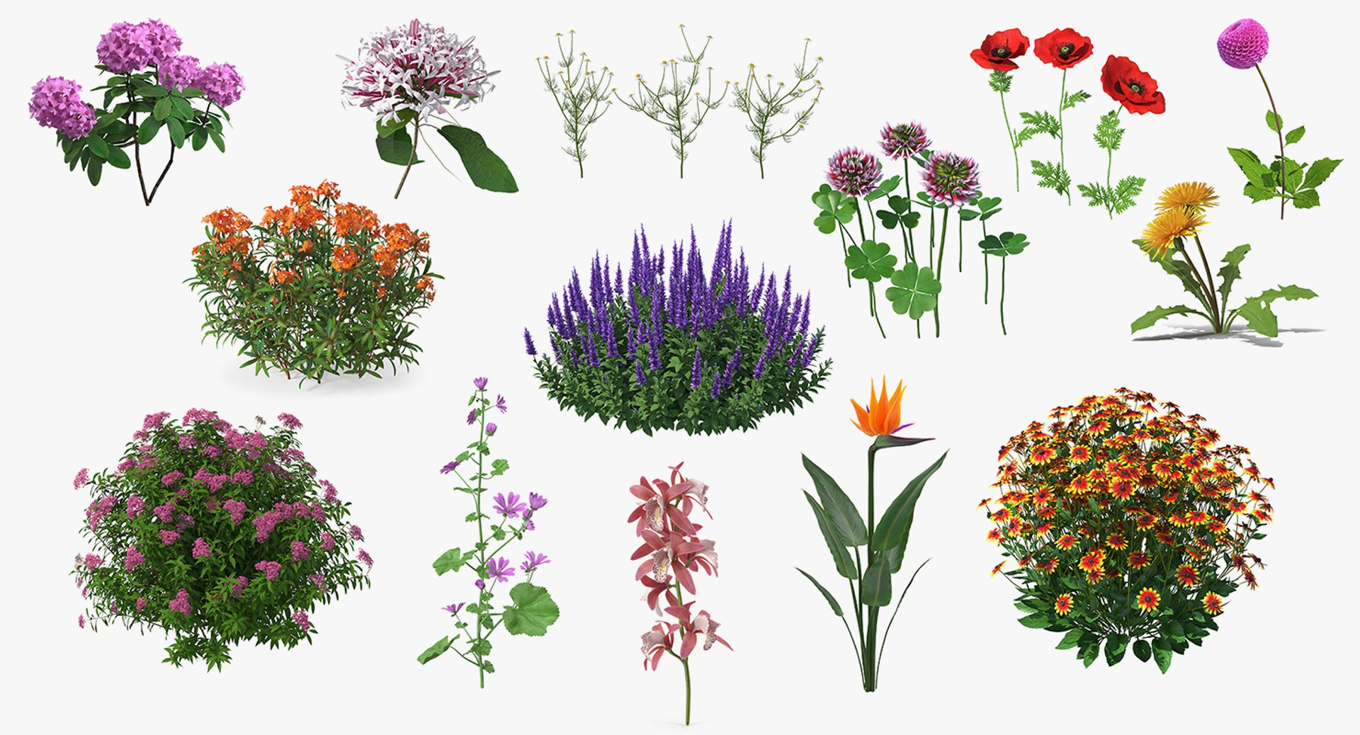 3D model Flowering Plants Collection 10 https://p.turbosquid.com/ts-thumb/aU/LdlOur/Nc/floweringplantscollection10mb3dmodel001/jpg/1663181513/1920x1080/fit_q87/3f470a60f095dfd8f77602ad81f8961342deedc2/floweringplantscollection10mb3dmodel001.jpg