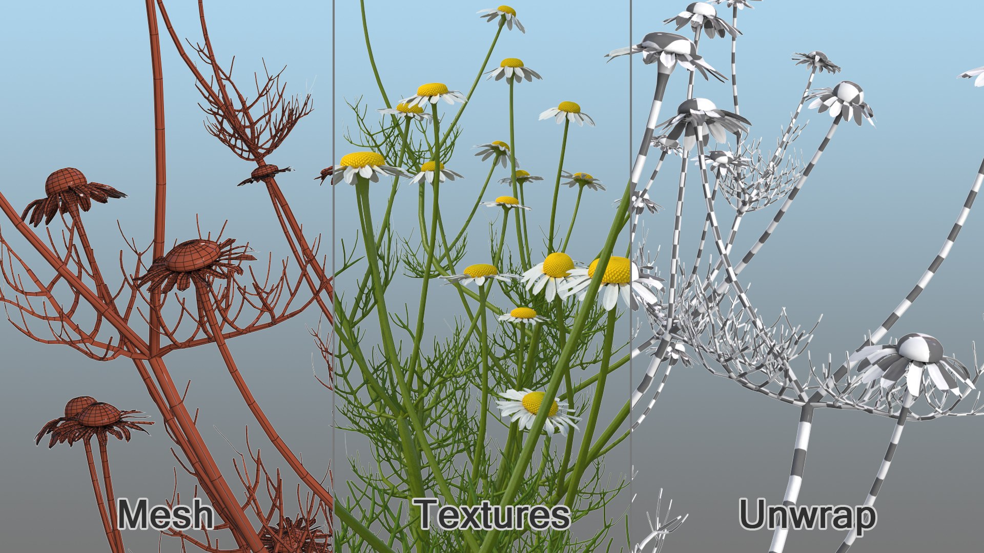 3D model Flowering Plants Collection 10 https://p.turbosquid.com/ts-thumb/aU/LdlOur/Xb/floweringplantscollection10mb3dmodel099/jpg/1663181918/1920x1080/fit_q87/dbb1a00c7619e5ae67d69017112e4ef255de4d6e/floweringplantscollection10mb3dmodel099.jpg