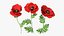 Flowering Plants Collection 10