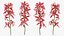 Flowering Plants Collection 10