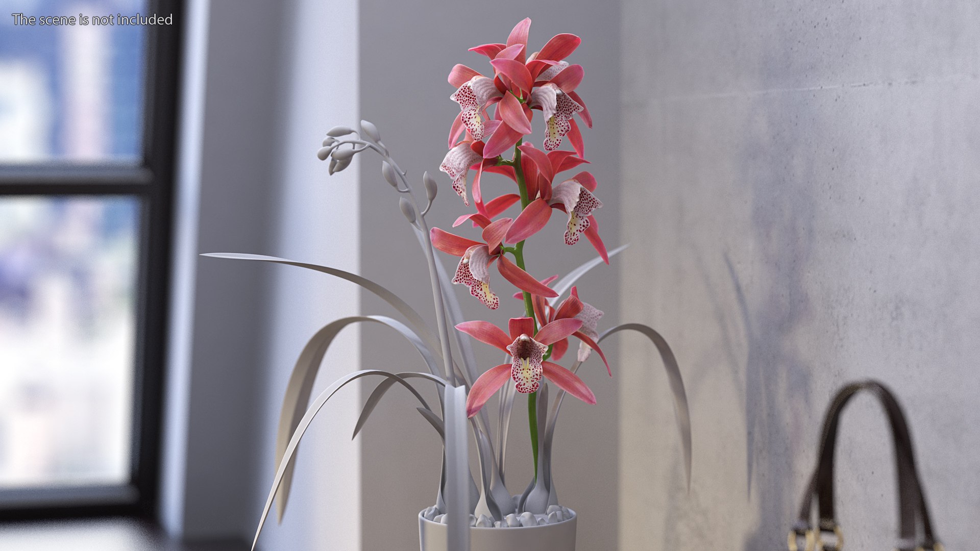 3D model Flowering Plants Collection 10 https://p.turbosquid.com/ts-thumb/aU/LdlOur/Zf/floweringplantscollection10mb3dmodel060/jpg/1663181756/1920x1080/fit_q87/3bb22d720ac8d37794bbeccf8572236d59c823ed/floweringplantscollection10mb3dmodel060.jpg