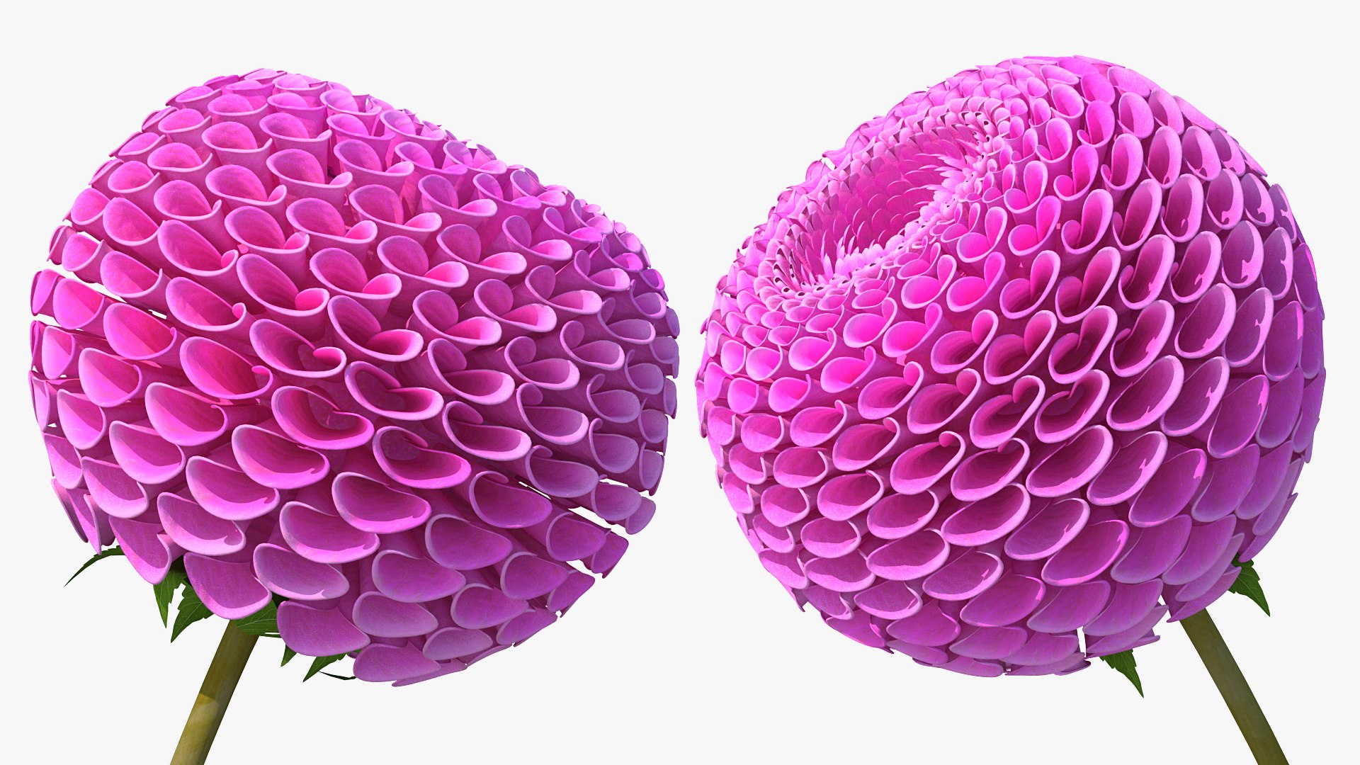 3D model Flowering Plants Collection 10 https://p.turbosquid.com/ts-thumb/aU/LdlOur/e2/floweringplantscollection10mb3dmodel075/jpg/1663181816/1920x1080/fit_q87/81e45cc08e06b39e780055333b8699a729ac1372/floweringplantscollection10mb3dmodel075.jpg