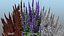 Flowering Plants Collection 10