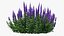 Flowering Plants Collection 10