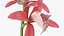 Flowering Plants Collection 10