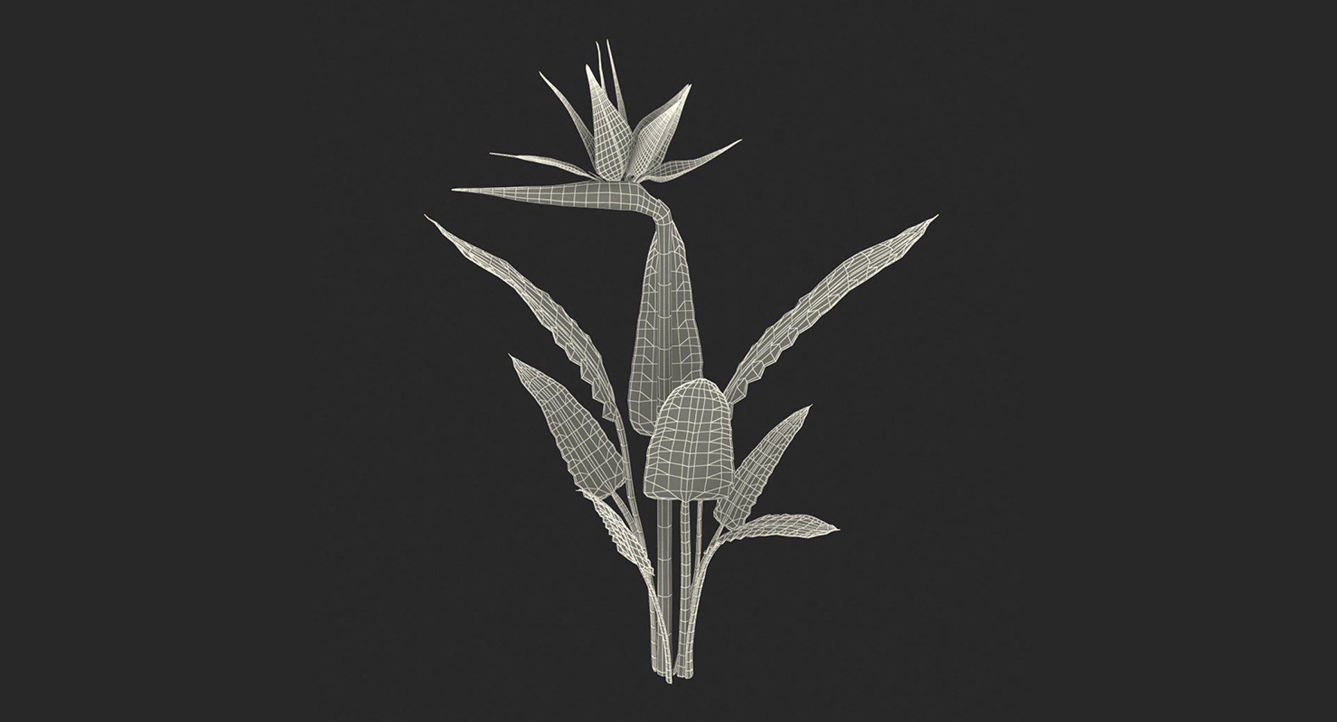 3D model Flowering Plants Collection 10 https://p.turbosquid.com/ts-thumb/aU/LdlOur/n5/floweringplantscollection10mb3dmodel152/jpg/1663182130/1920x1080/fit_q87/20151c92924fcc85d5238a6e5b77f106a3d43b1b/floweringplantscollection10mb3dmodel152.jpg