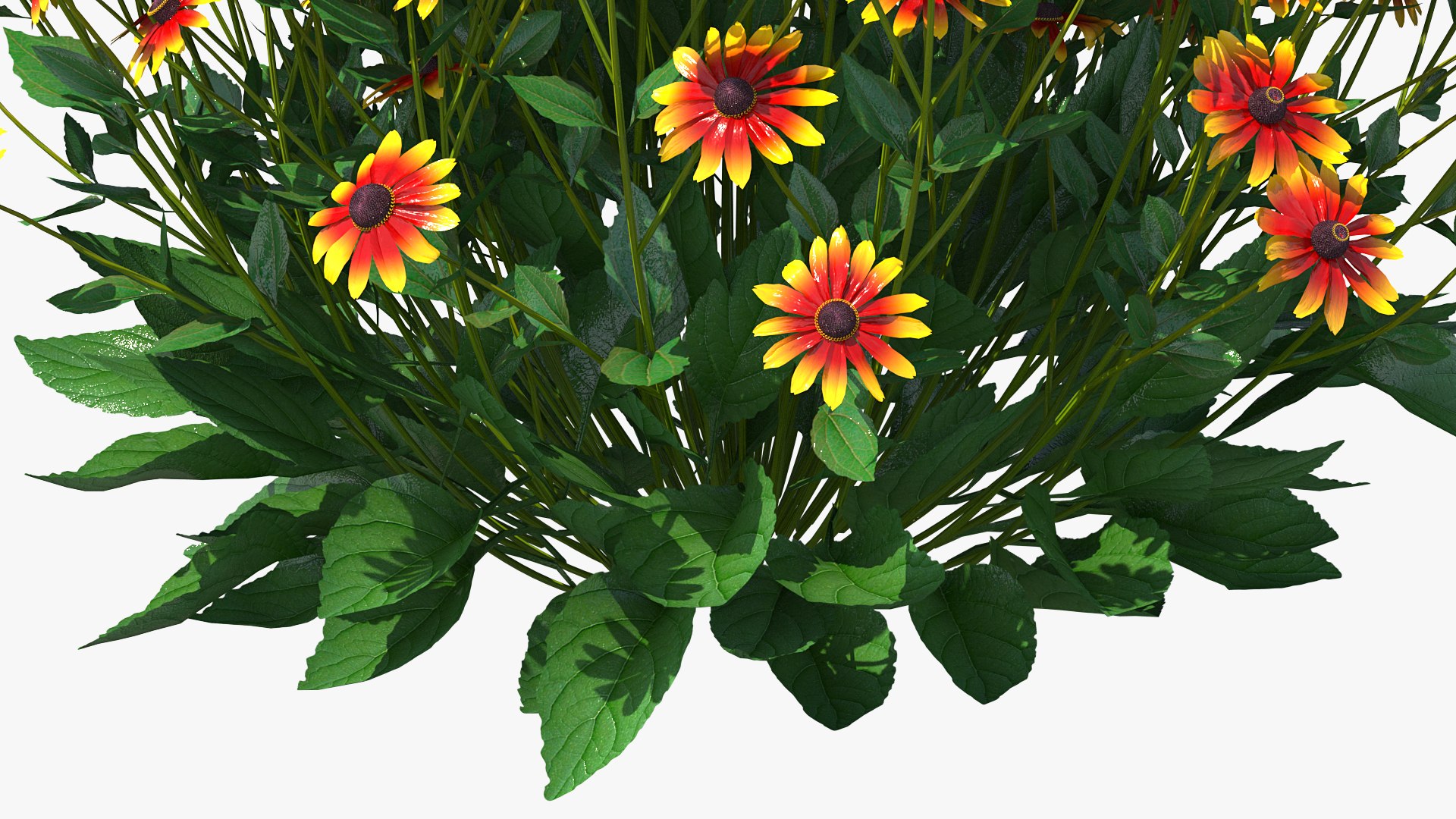 3D model Flowering Plants Collection 10 https://p.turbosquid.com/ts-thumb/aU/LdlOur/nF/floweringplantscollection10mb3dmodel124/jpg/1663182024/1920x1080/fit_q87/0b6ee703bcfa588ee3218faf89703840e6ec813a/floweringplantscollection10mb3dmodel124.jpg