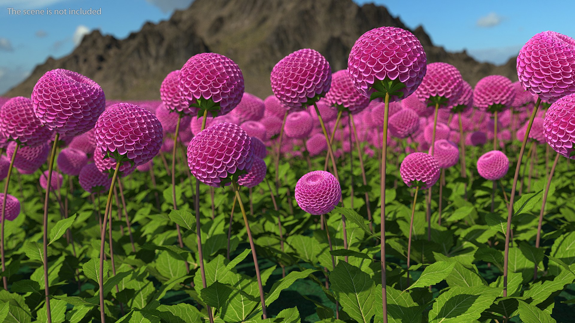 3D model Flowering Plants Collection 10 https://p.turbosquid.com/ts-thumb/aU/LdlOur/nU/floweringplantscollection10mb3dmodel072/jpg/1663181804/1920x1080/fit_q87/e19bba40f8bfa847a26b810c6944b096657a2326/floweringplantscollection10mb3dmodel072.jpg