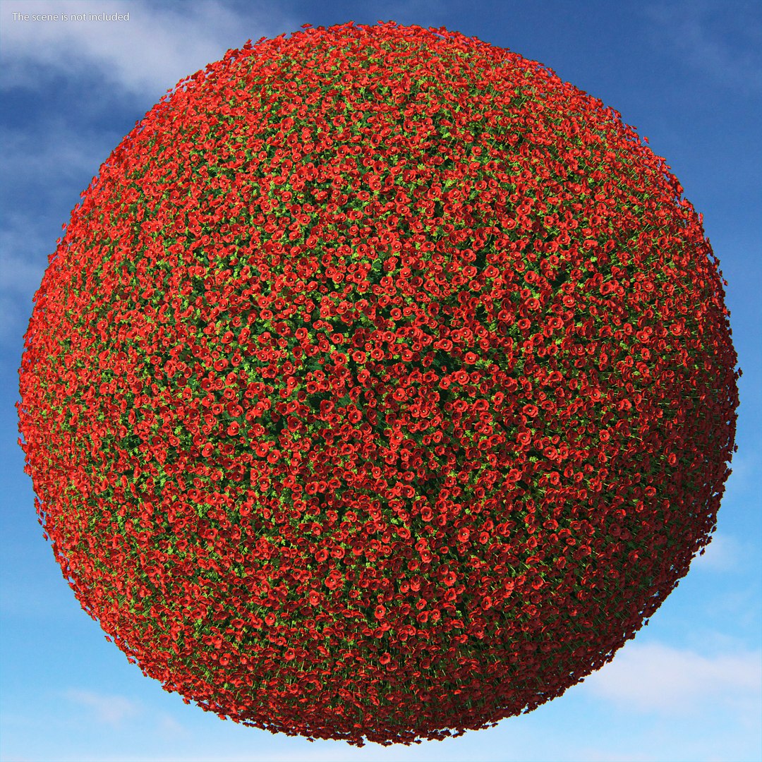 3D model Flowering Plants Collection 10 https://p.turbosquid.com/ts-thumb/aU/LdlOur/pR/floweringplantscollection10mb3dmodel108/jpg/1663181955/1920x1080/fit_q87/7de6986abc516b6eee8a93bc2f9d03bc9e70036f/floweringplantscollection10mb3dmodel108.jpg