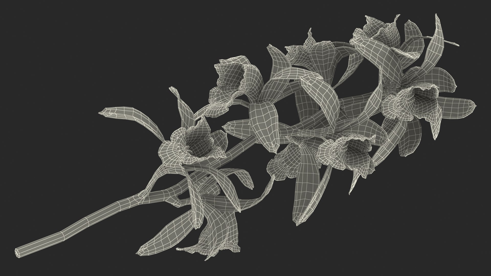 3D model Flowering Plants Collection 10 https://p.turbosquid.com/ts-thumb/aU/LdlOur/pk/floweringplantscollection10mb3dmodel144/jpg/1663182103/1920x1080/fit_q87/5800abbc59385417cc38e19a51455f9c9a62e2c8/floweringplantscollection10mb3dmodel144.jpg
