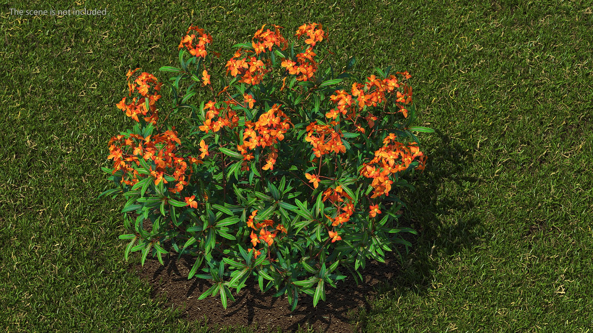 3D model Flowering Plants Collection 10 https://p.turbosquid.com/ts-thumb/aU/LdlOur/su/floweringplantscollection10mb3dmodel015/jpg/1663181566/1920x1080/fit_q87/156b6c73482f461c940c85fb2890870146f0355b/floweringplantscollection10mb3dmodel015.jpg