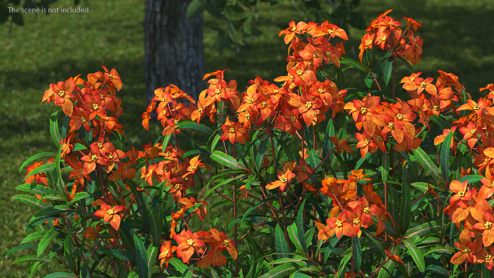 3D model Flowering Plants Collection 10 https://p.turbosquid.com/ts-thumb/aU/LdlOur/t0/floweringplantscollection10mb3dmodel016/jpg/1663181570/1920x1080/fit_q87/690d91b027f3874caf48099dd6b46beb5d9d1d5b/floweringplantscollection10mb3dmodel016.jpg