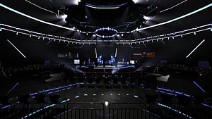 Octagon Stadium Fight ring