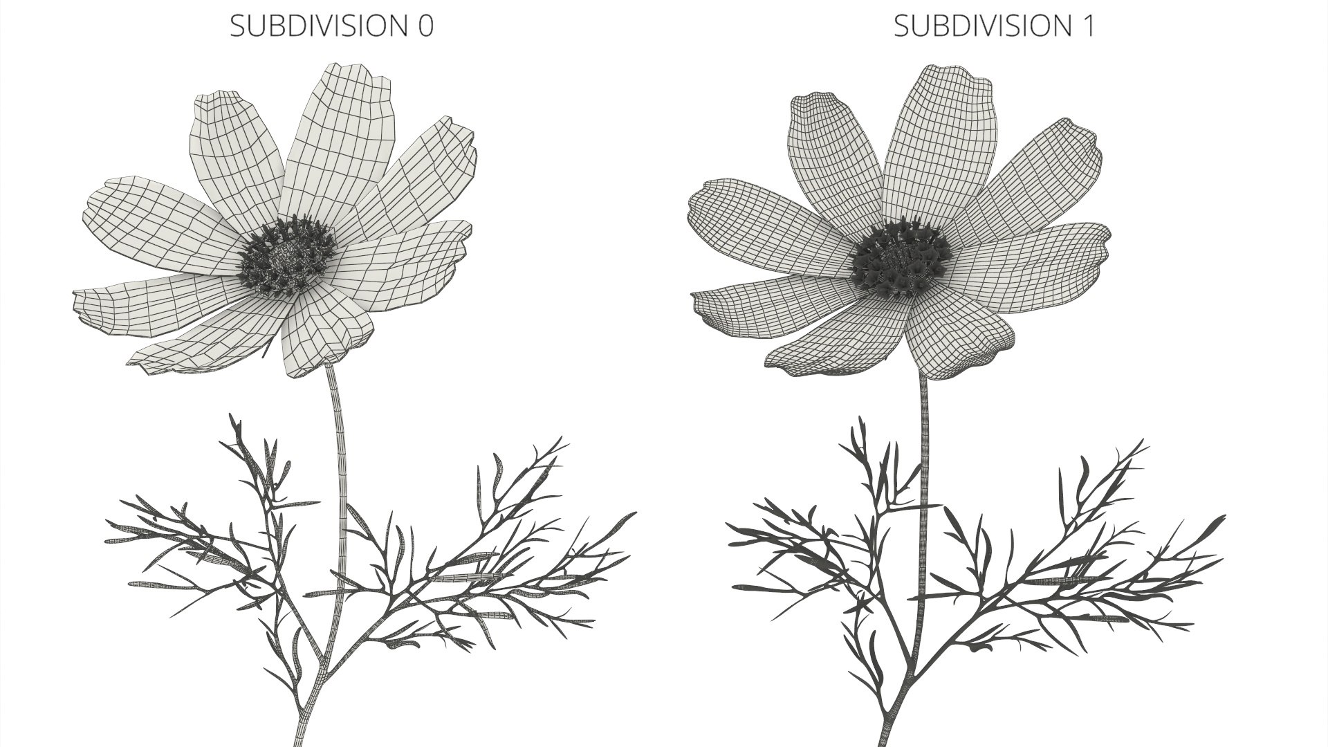 Garden Plant Cosmos Bloom Red 3D model https://p.turbosquid.com/ts-thumb/aU/PmJRhb/6B/garden_plant_cosmos_bloom_red_010/jpg/1766389136/1920x1080/fit_q87/6cb23b455e61399d79c2735112929fbe0457ddbc/garden_plant_cosmos_bloom_red_010.jpg