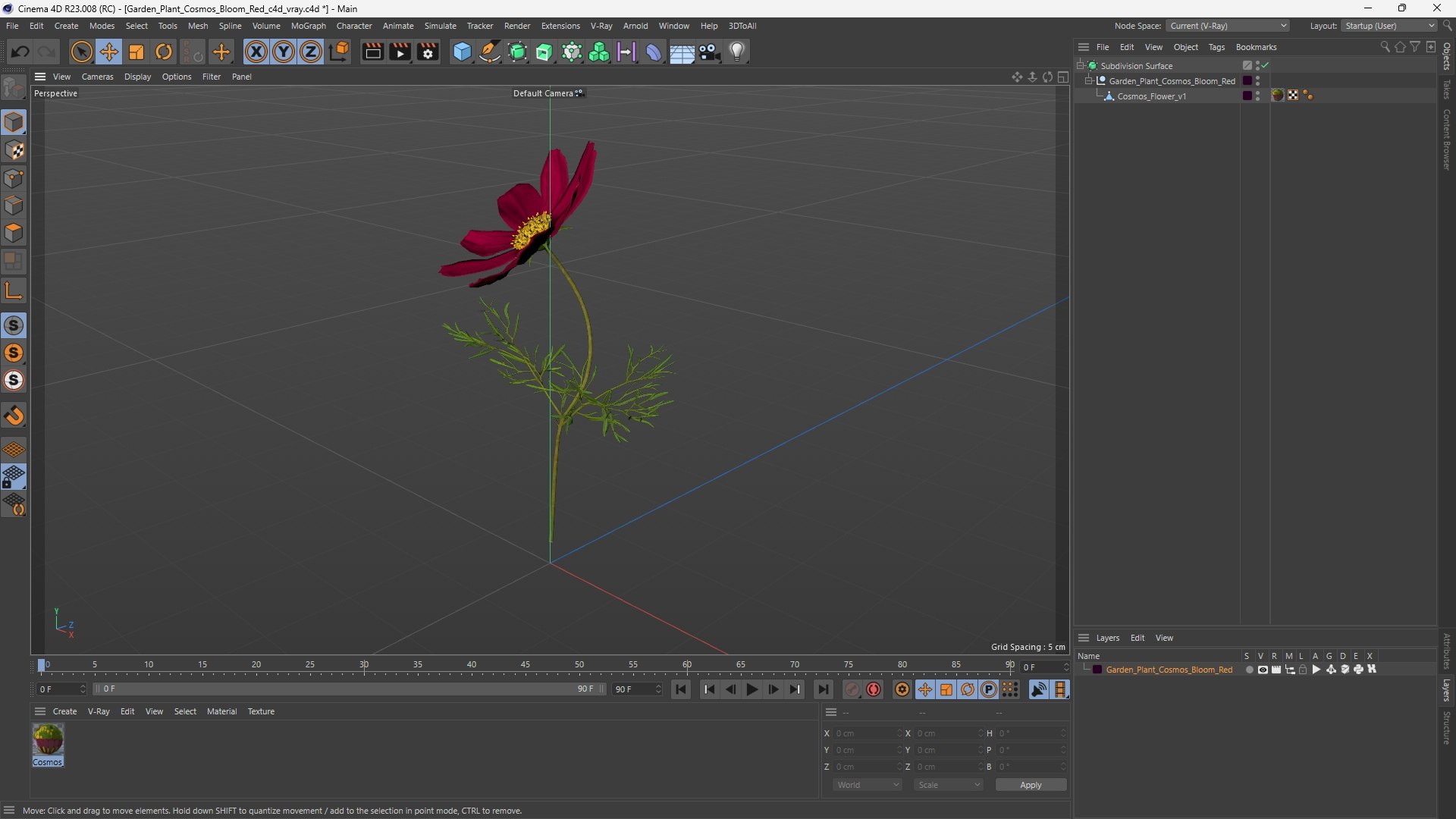 Garden Plant Cosmos Bloom Red 3D model https://p.turbosquid.com/ts-thumb/aU/PmJRhb/KB/garden_plant_cosmos_bloom_red_1003/jpg/1766389160/1920x1080/fit_q87/1edc952fcadef6541f8818d97cdaa1de5612f7c1/garden_plant_cosmos_bloom_red_1003.jpg