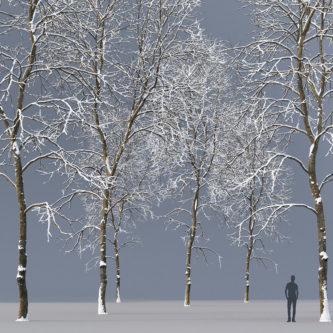 tree ash winter 3D model https://p.turbosquid.com/ts-thumb/aU/QkEjdv/7R/210/jpg/1612685086/1920x1080/fit_q87/66041544537ddba27eb9127b914db01bc1394c14/210.jpg