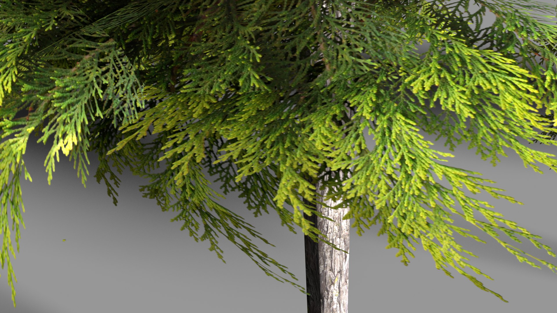 3ds Realistic Trees
