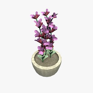3D Medieval Salvia Pot model