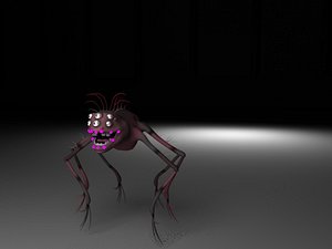 spider animal model