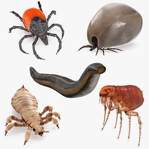 Parasites Rigged Collection 2 for Cinema 4D