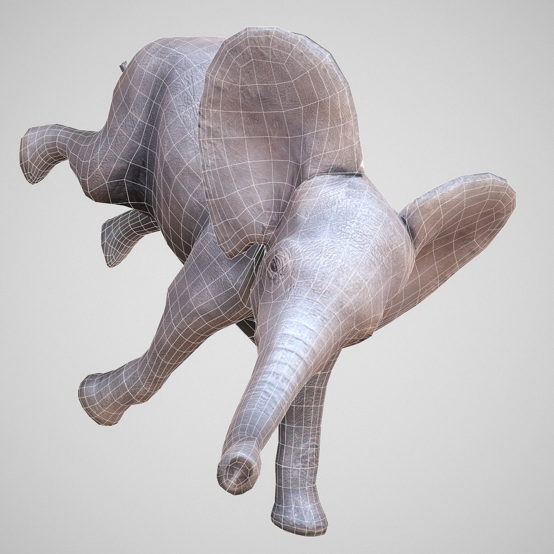 Baby Elephant Rigged 3d Model