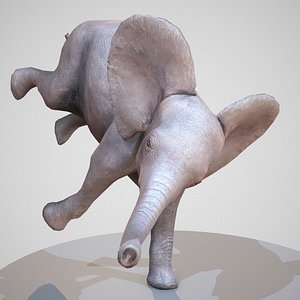 baby elephant rigged 3d model