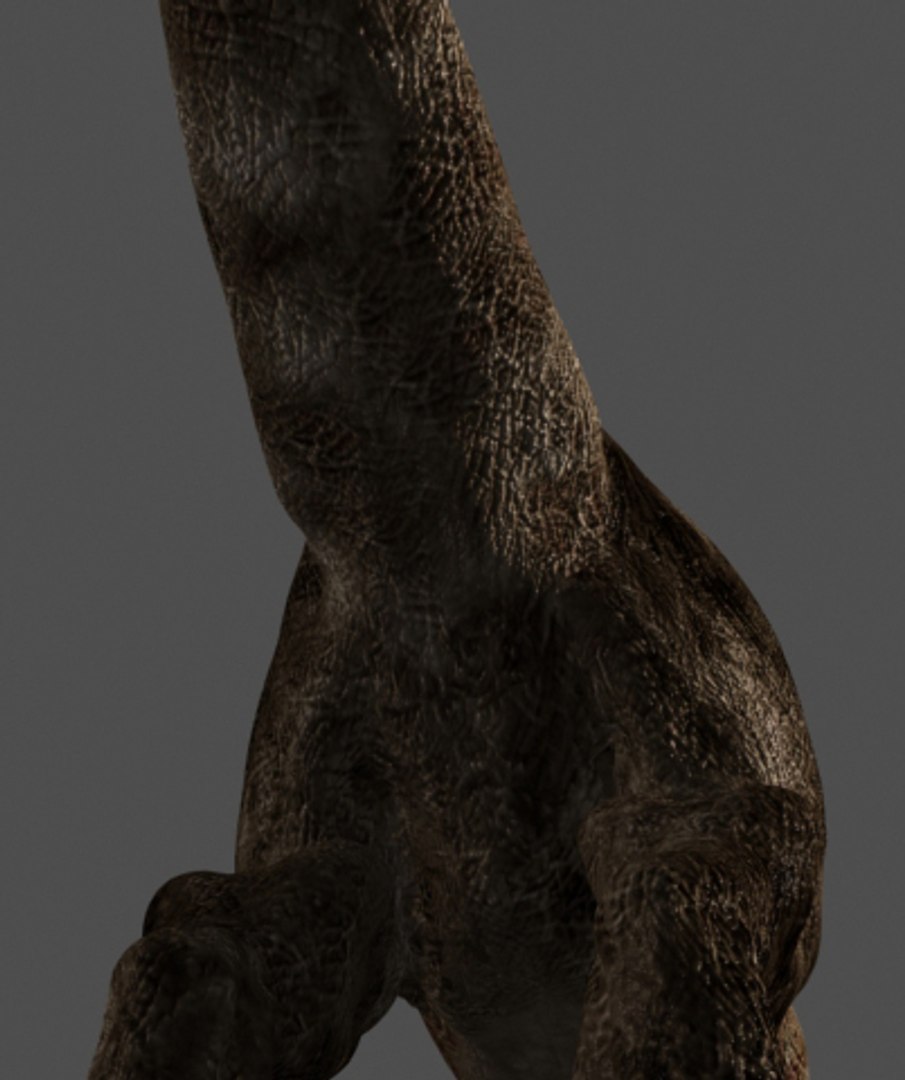pack animations character 3d model https://p.turbosquid.com/ts-thumb/aV/Lq0FZ2/0nAmfwZo/spino11/jpg/1283779027/1920x1080/fit_q87/a35f055fe1d6e43530947b9b58b6d85e7428f083/spino11.jpg
