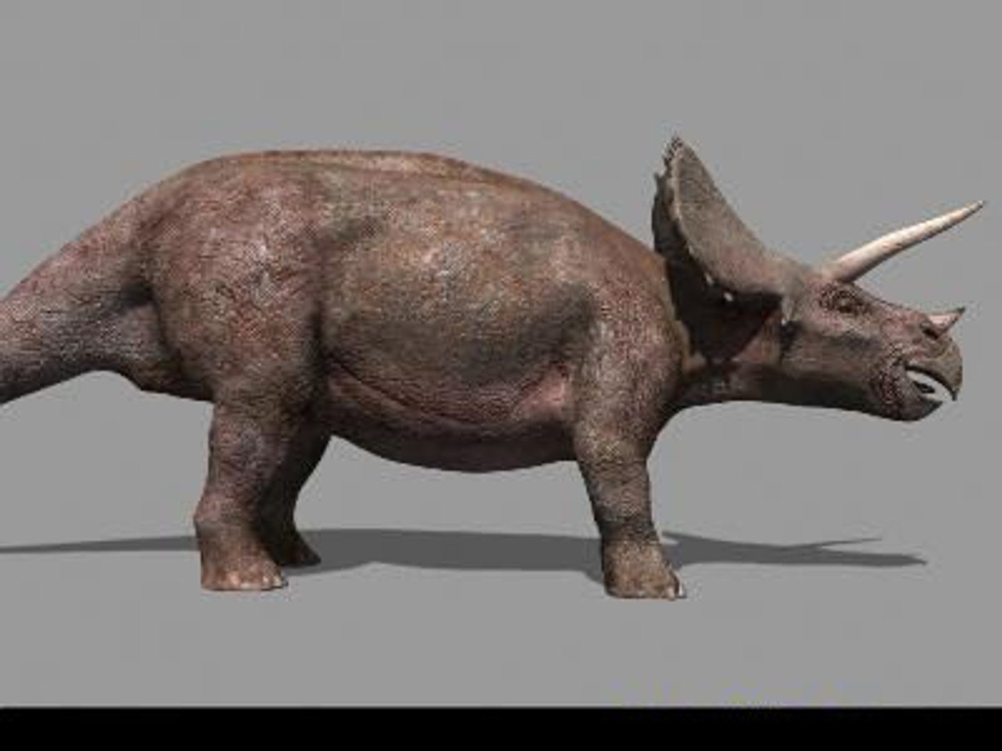 pack animations character 3d model https://p.turbosquid.com/ts-thumb/aV/Lq0FZ2/14X7jnmC/tria05/jpg/1283796953/1920x1080/fit_q87/076c9eb51ebfd4a29cb0a40bd775061d47df1c4a/tria05.jpg