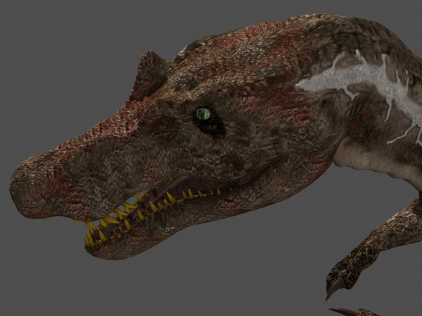 pack animations character 3d model https://p.turbosquid.com/ts-thumb/aV/Lq0FZ2/4ThYaJ93/spino7/jpg/1283779026/1920x1080/fit_q87/8074dba8979a8dbca01d7ce059e868b2367f5d8e/spino7.jpg
