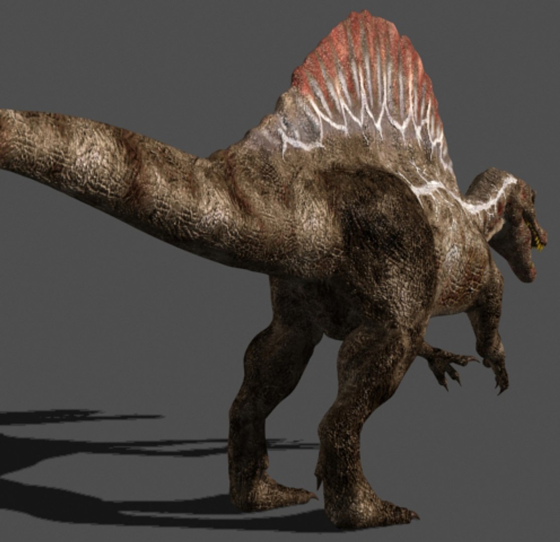 pack animations character 3d model https://p.turbosquid.com/ts-thumb/aV/Lq0FZ2/AP5Rs1Fn/spino19/jpg/1283779027/1920x1080/fit_q87/b884c96cab3c05ff78a48ee446478e6029067194/spino19.jpg