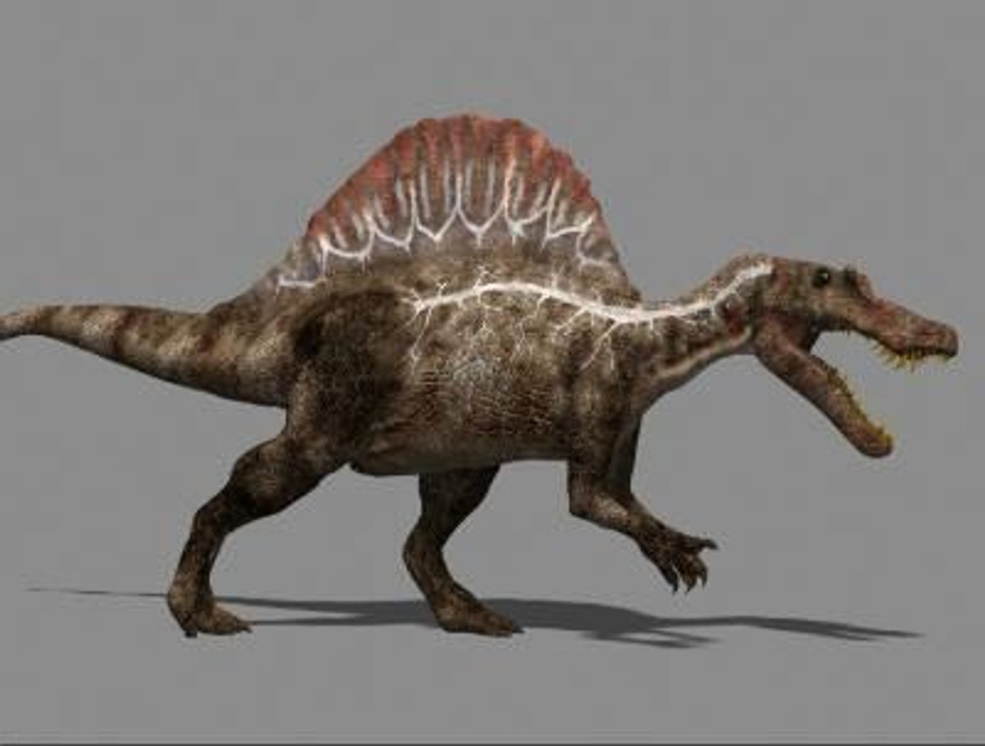 pack animations character 3d model https://p.turbosquid.com/ts-thumb/aV/Lq0FZ2/BH4ooKNj/spino56/jpg/1283779027/1920x1080/fit_q87/15434817738ebab8f1f97b0b5b6af7ea429d0ae4/spino56.jpg